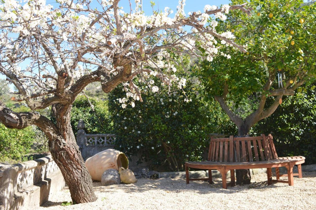 Casa Jiby Διαμέρισμα Llosa de Camacho Εξωτερικό φωτογραφία