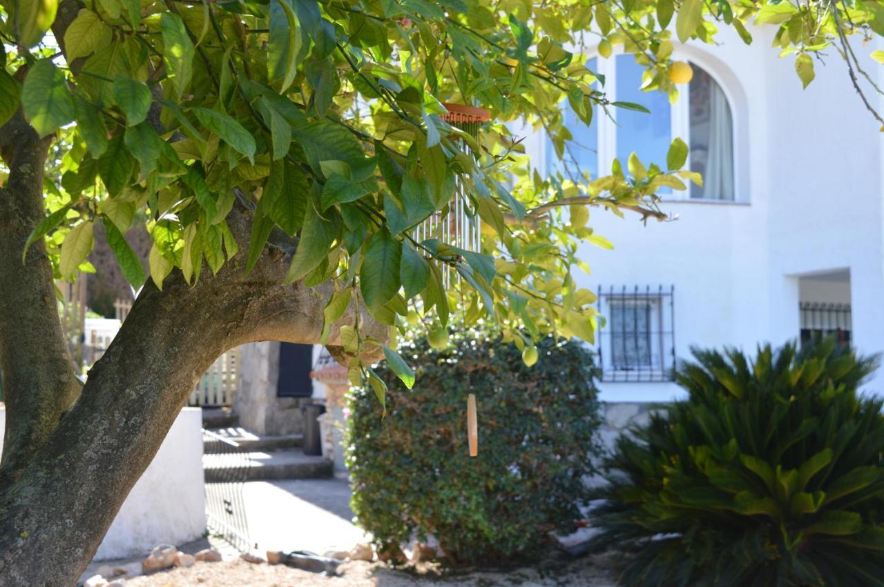 Casa Jiby Διαμέρισμα Llosa de Camacho Εξωτερικό φωτογραφία