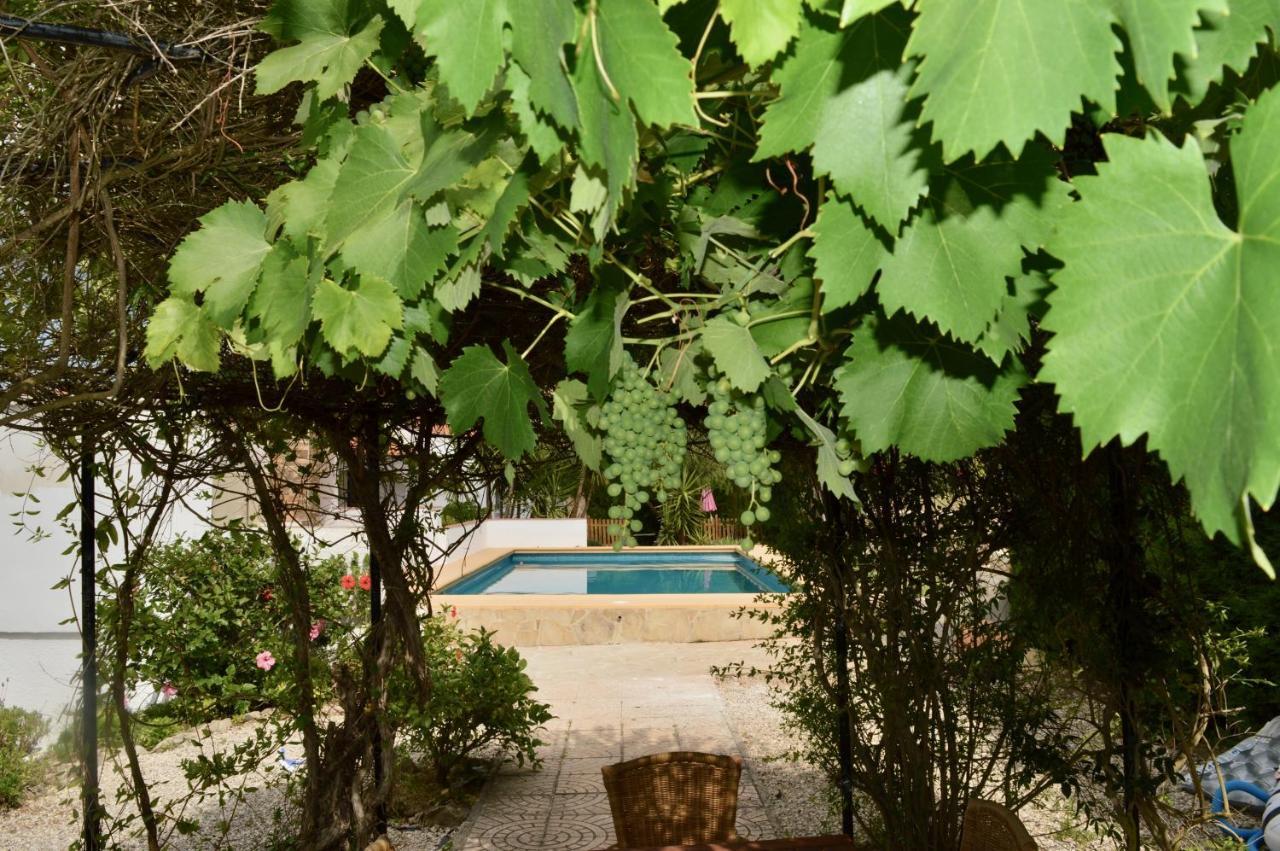 Casa Jiby Διαμέρισμα Llosa de Camacho Εξωτερικό φωτογραφία
