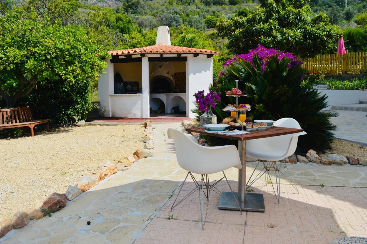 Casa Jiby Διαμέρισμα Llosa de Camacho Εξωτερικό φωτογραφία